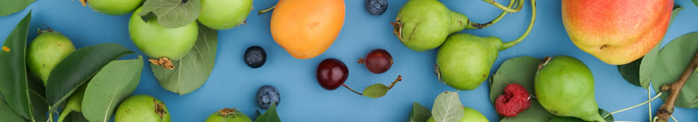fruit